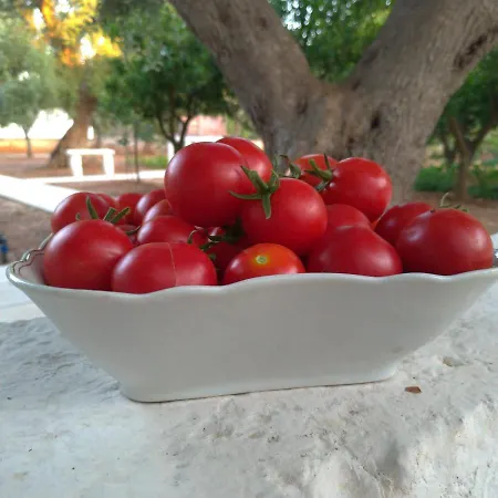 בית נופש Dimora Torre Bianca *