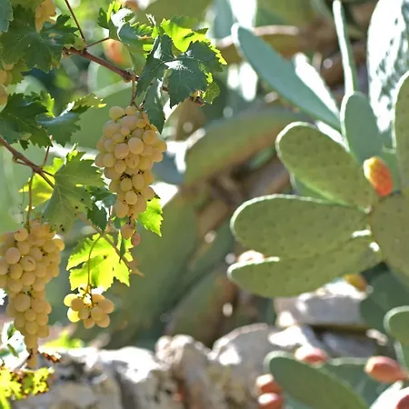 Dimora Torre Bianca * Ostuni